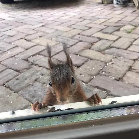 Vakantiewoning Hegga Hegelsom