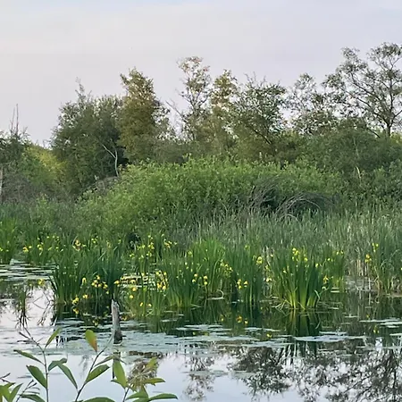 Hébergement de vacances Vakantiewoning Hegga Hegelsom