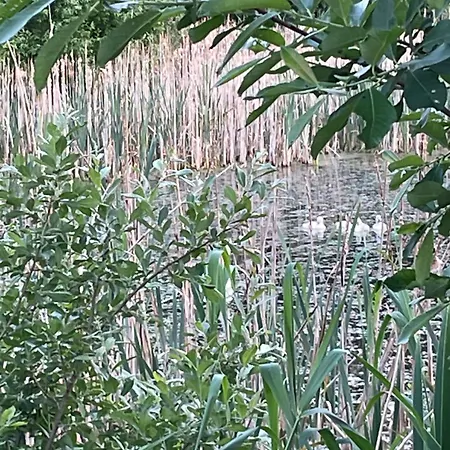 Hébergement de vacances Vakantiewoning Hegga *