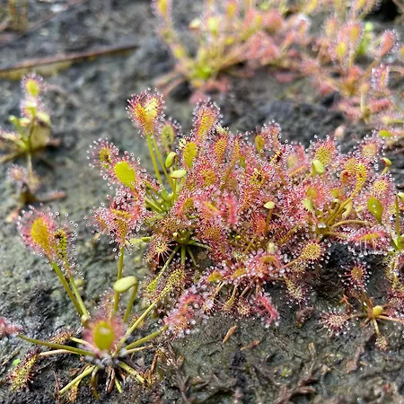 Vakantiewoning Hegga *