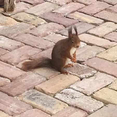 Vakantiewoning Hegga Hébergement de vacances *