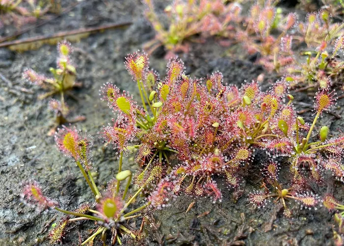 Vakantiewoning Hegga *