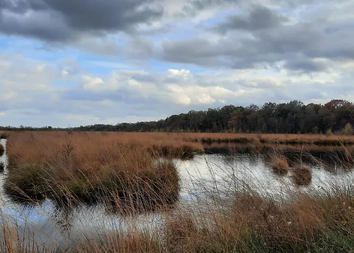 Vakantiewoning Hegga Hegelsom
