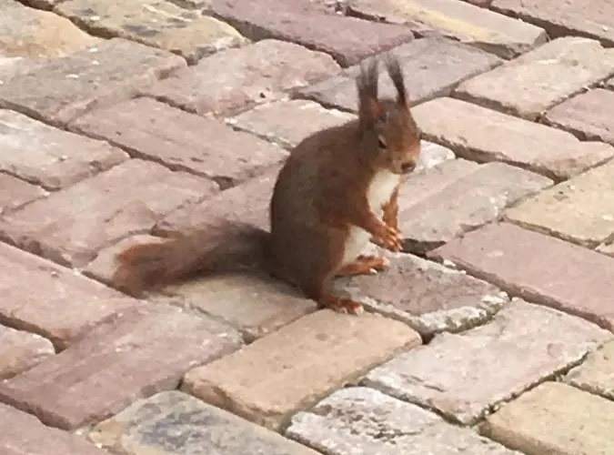 Vakantiewoning Hegga Tatil Evi *