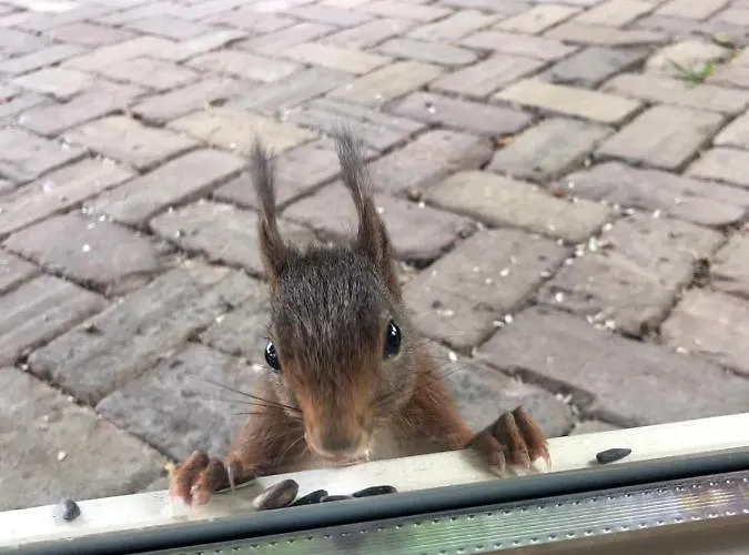 Vakantiewoning Hegga Hegelsom