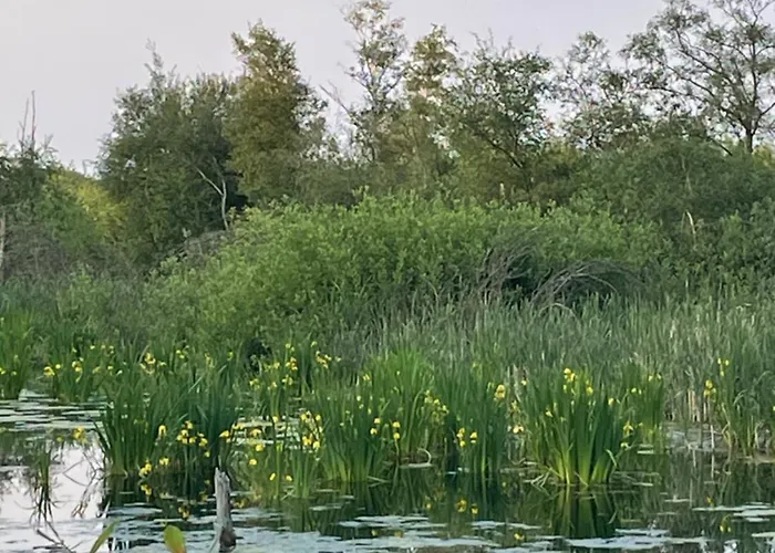 Vakantiehuis Vakantiewoning Hegga Hegelsom