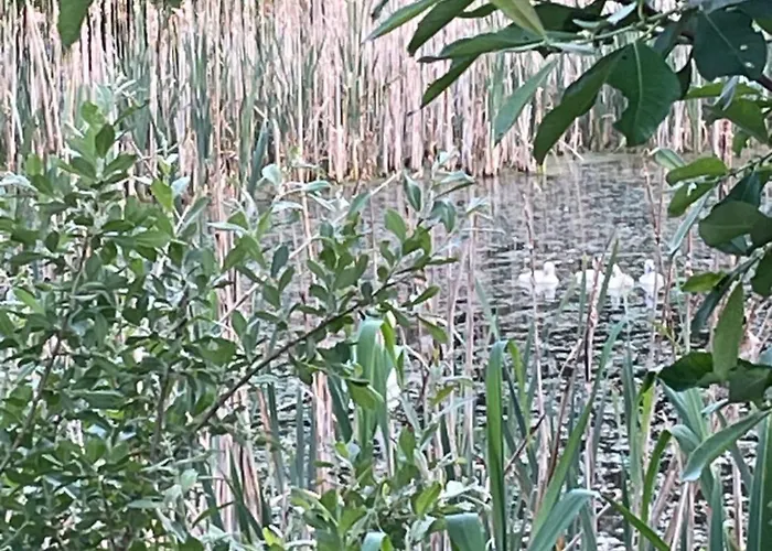 Vakantiehuis Vakantiewoning Hegga *