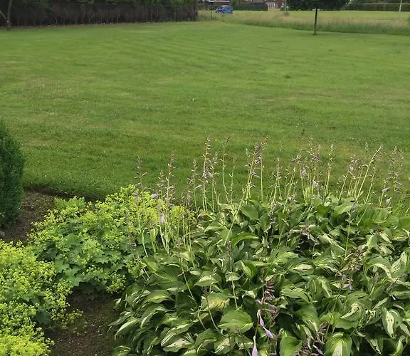 Vakantiewoning Hegga Hegelsom